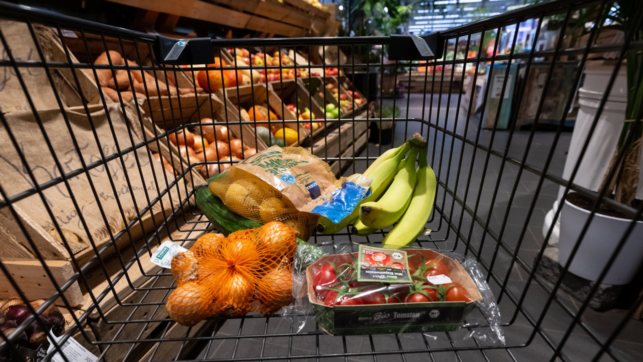 Ein Einkaufswagen im Supermarkt, darin Kartoffeln, Bananen, Zwiebeln und Tomaten