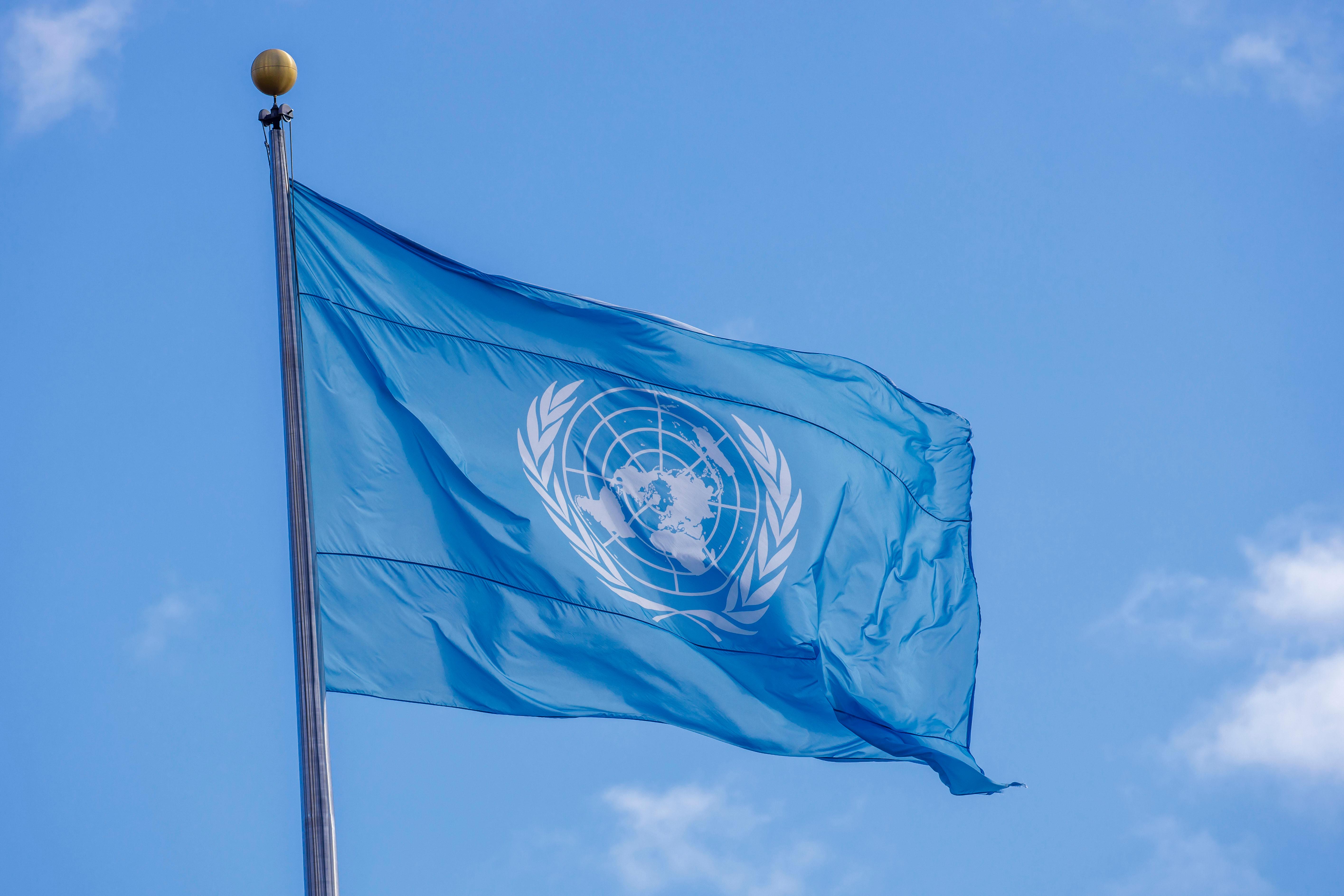 Flagge der Vereinten Nationen