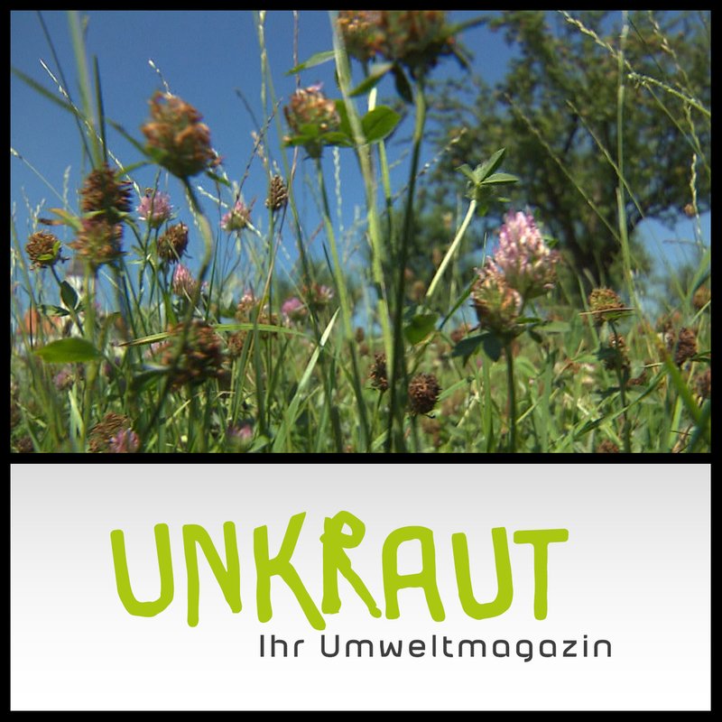 UNKRAUT - Ihr Umweltmagazin | BR Podcast