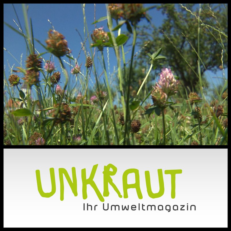 UNKRAUT - Ihr Umweltmagazin | BR Podcast