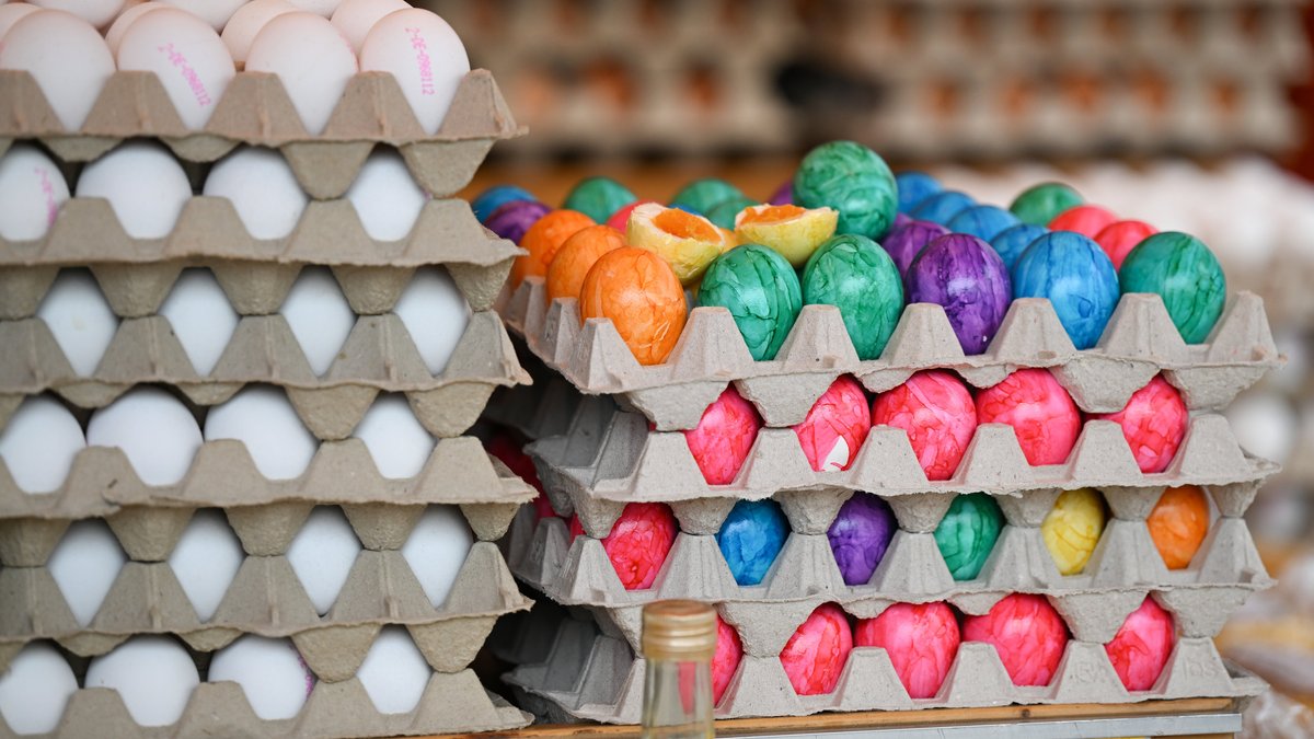 Eier aus Bodenhaltung, weiß und bunt gefärbt