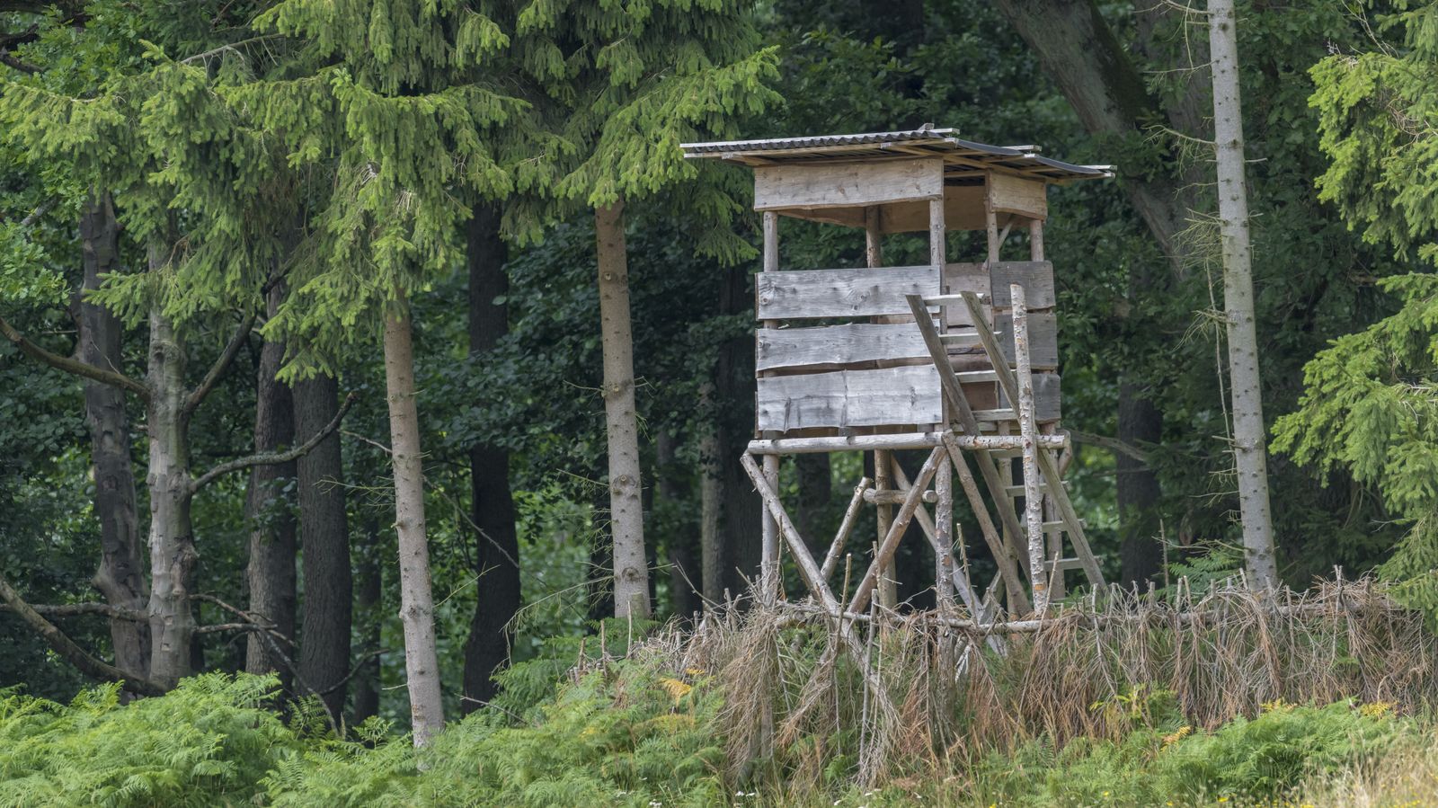 Unwetter im Oberland: Jäger tot unter Hochstand ...