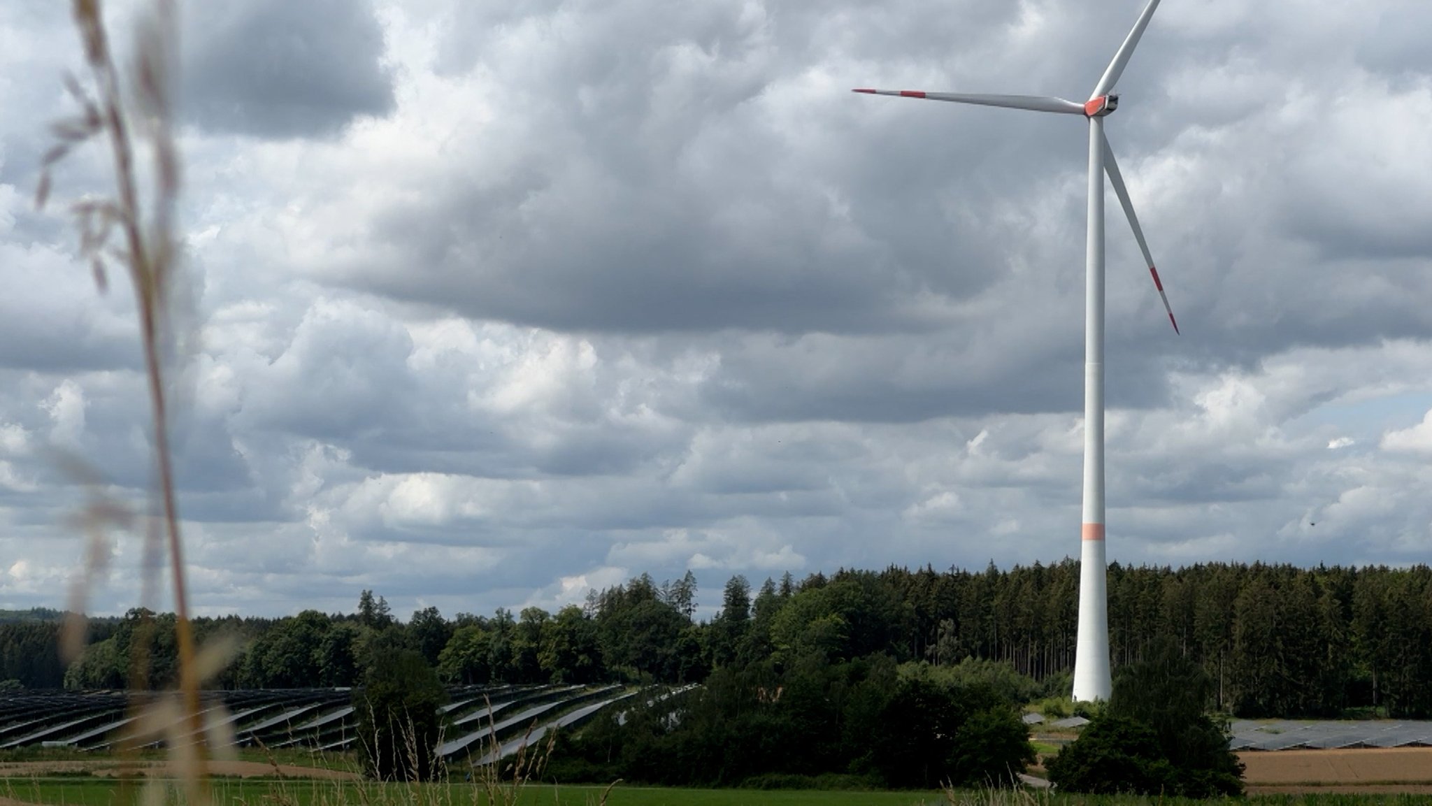 Mit Windkraft könnte hier bald richtig viel Geld verdient werden.