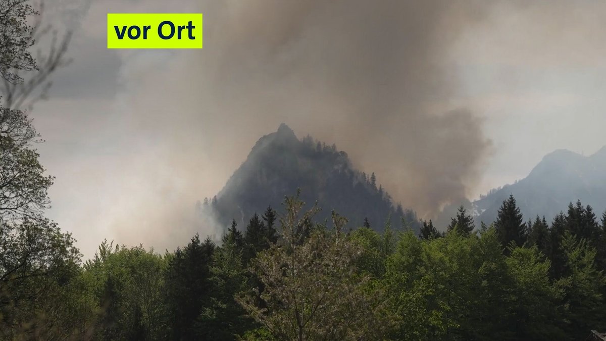 Saurüsselkopf-Feuer: So fatal sind Waldbrände im Gebirge
