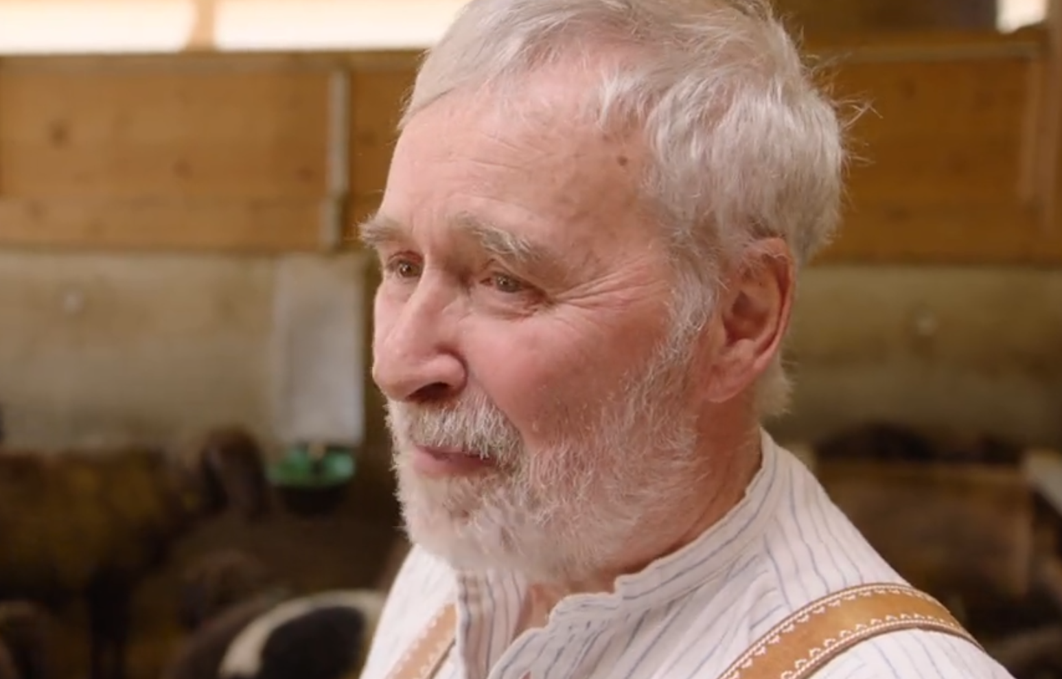 Schafhalter Joseph Grasegger aus Partenkirchen hat vor einigen Jahren 20 Schafe durch Wolfsriss verloren. 