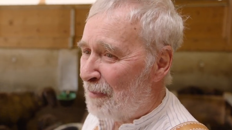 Schafhalter Joseph Grasegger aus Partenkirchen hat vor einigen Jahren 20 Schafe durch Wolfsriss verloren. | Bild: BR / Thomas Wittmann Schafhalter Joseph Grasegger aus Partenkirchen hat vor einigen Jahren 20 Schafe durch Wolfsriss verloren.