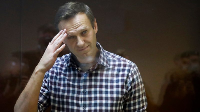 Kremlkritiker Nawalny 