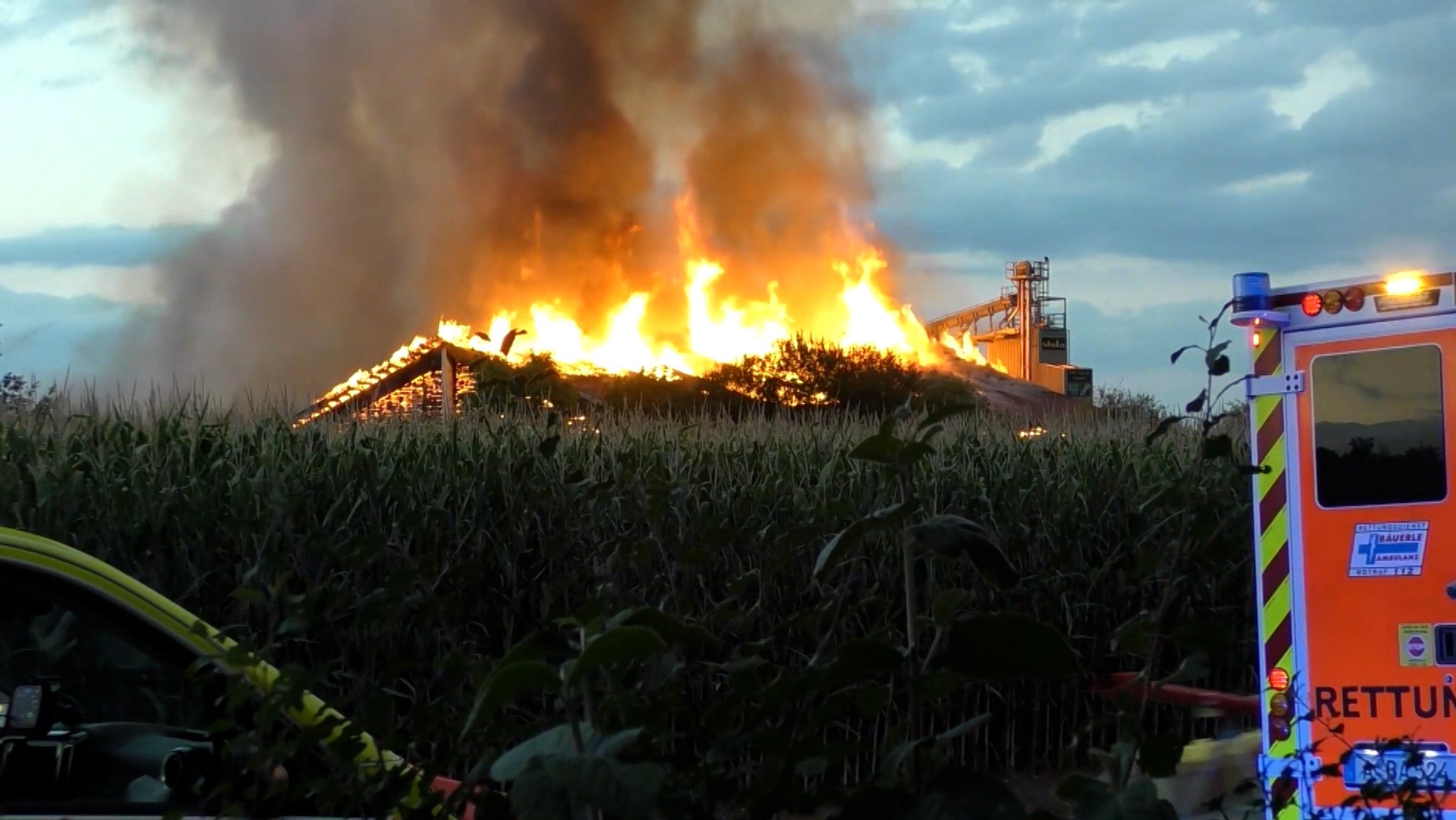 Brand in Schweinestall: Rund 1.600 Tiere verendet
