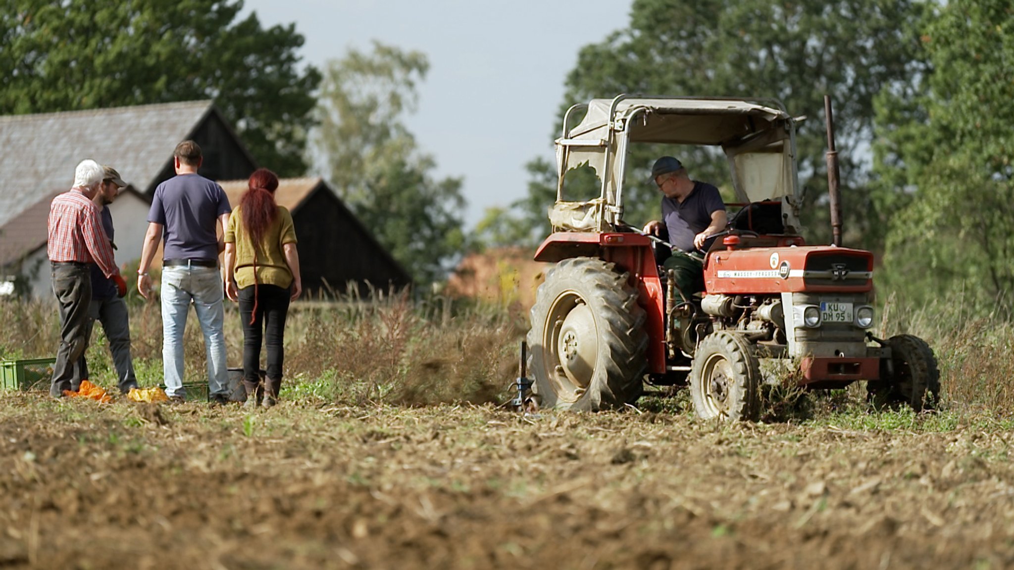 Schlepper fährt über Kartoffelacker