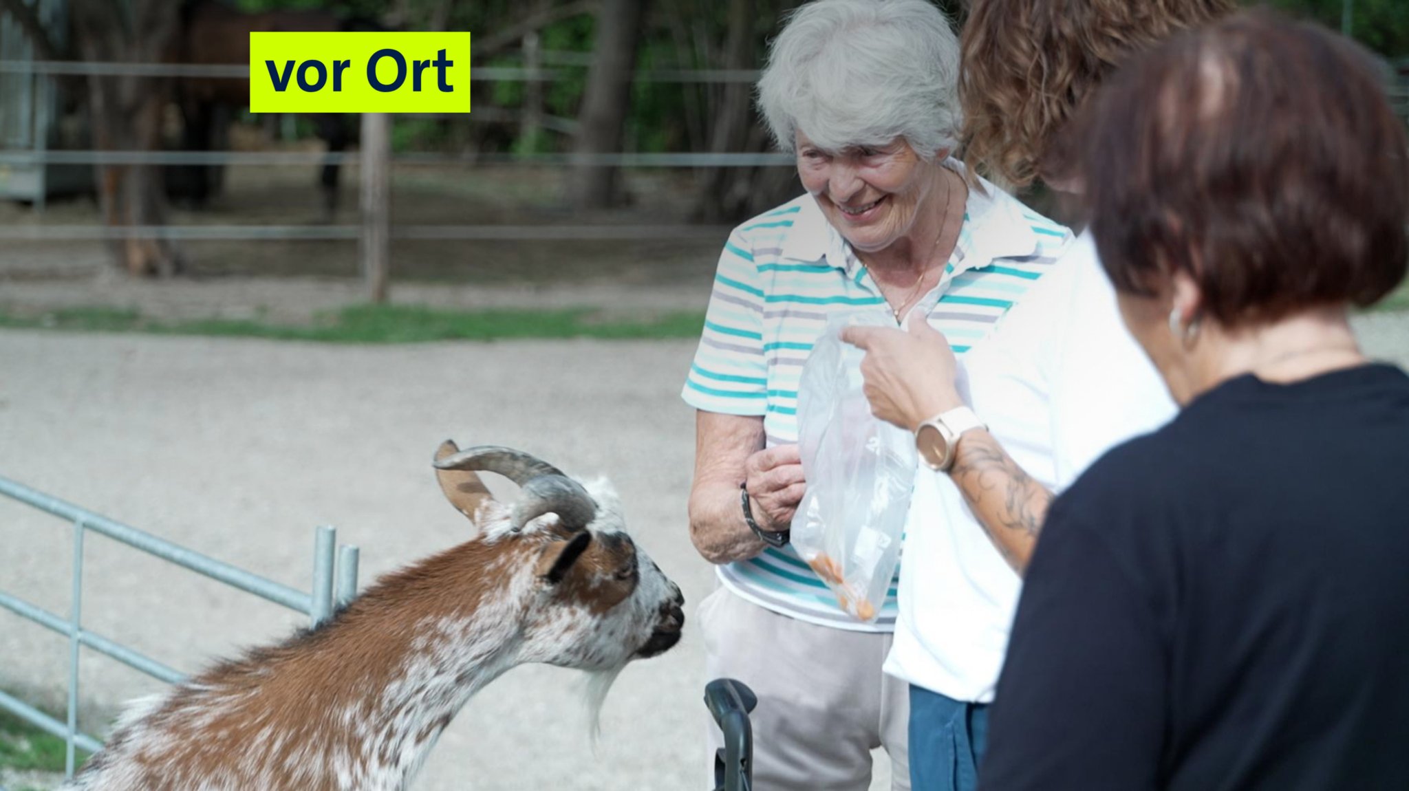 Eine Ziege reckt ihren Hals über ein Gatter. Eine Seniorin nimmt Futter aus einer Plastiktüte, die ihr eine Frau hinhält. Eine weitere Frau ist von hinten im Anschnitt zu sehen. Seniorin Inge fühlt sich wohl auf dem Pflegebauernhof in Karlshuld - dem ersten seiner Art in Bayern. | Bild: Bayerischer Rundfunk 2026 Eine Ziege reckt ihren Hals über ein Gatter. Eine Seniorin nimmt Futter aus einer Plastiktüte, die ihr eine Frau hinhält. Eine weitere Frau ist von hinten im Anschnitt zu sehen. Seniorin Inge fühlt sich wohl auf dem Pflegebauernhof in Karlshuld - dem ersten seiner Art in Bayern.