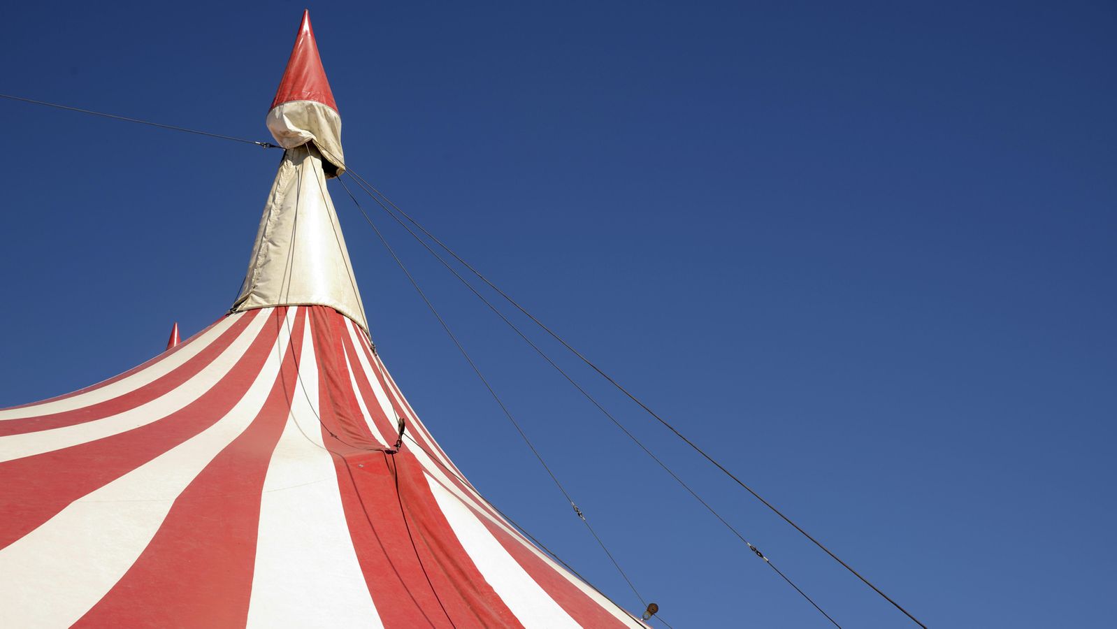 Proteste Fsli Proteste gegen Zirkus mit Tieren: Können Kommunen sie verbieten? | BR24