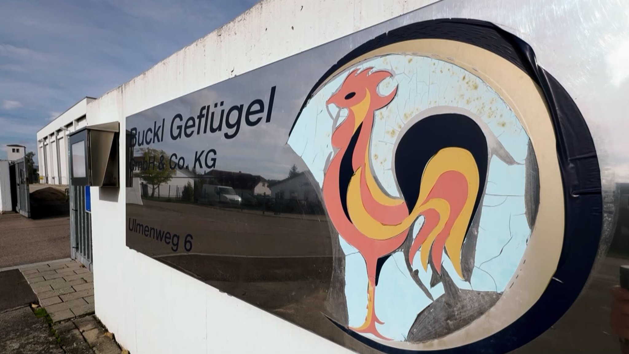 Logo von Buck-Geflügel, einem Geflügelhof von Wassertrüdigen.