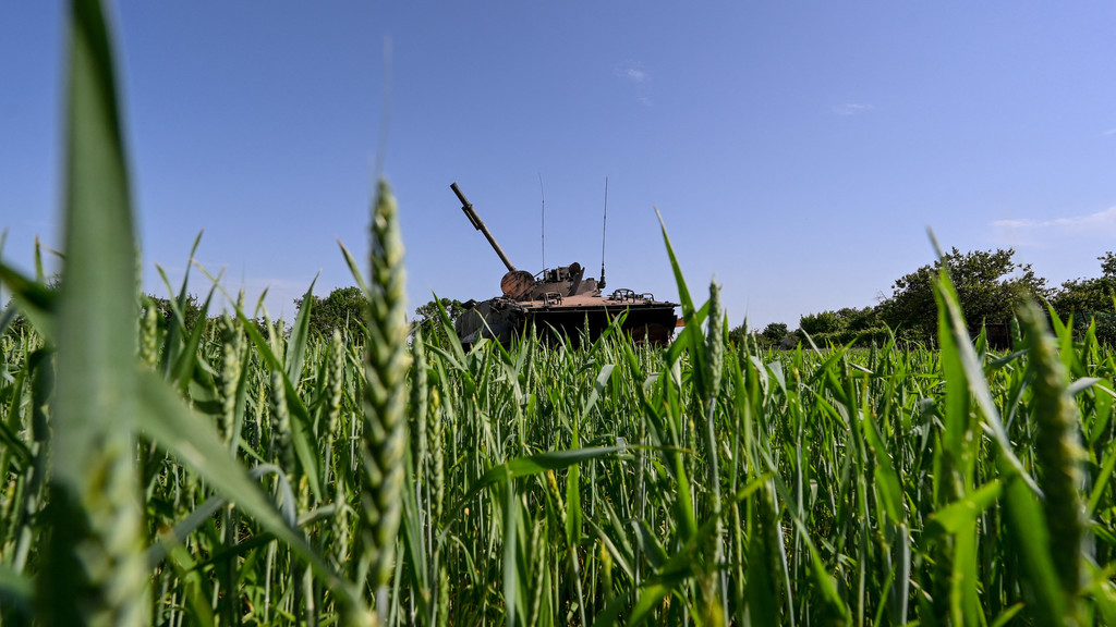 Ein russischer Panzer auf einem ukrainischen Getreidefeld