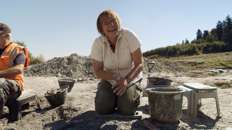 Paläontologen wie Madelaine Böhme versuchen, die Fossilien zum Sprechen zu bringen. | Bild: BR/smac media & consulting/BR Paläontologen wie Madelaine Böhme versuchen, die Fossilien zum Sprechen zu bringen.
