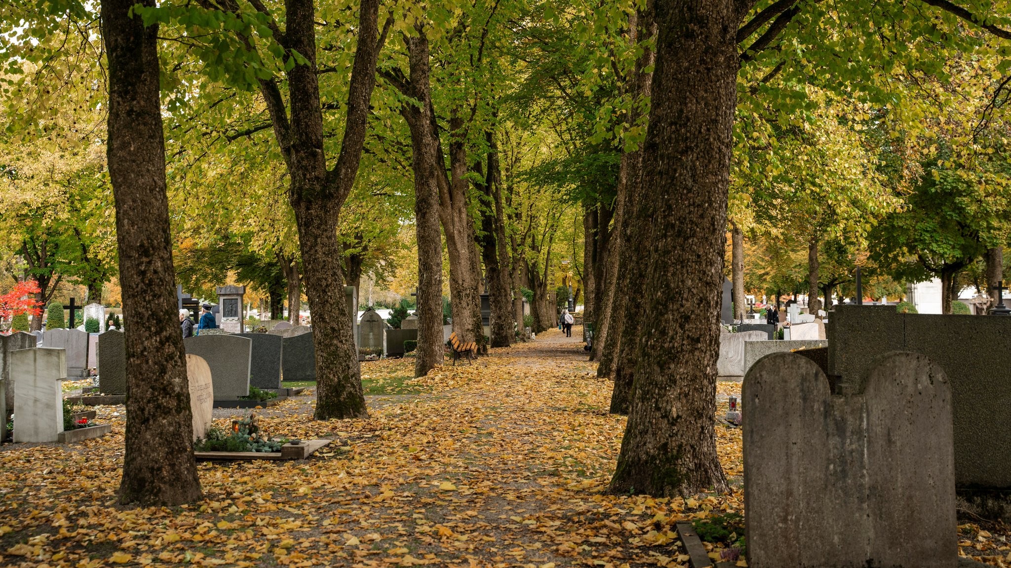 Ein Friedhof im Herbst (Symbolbild)