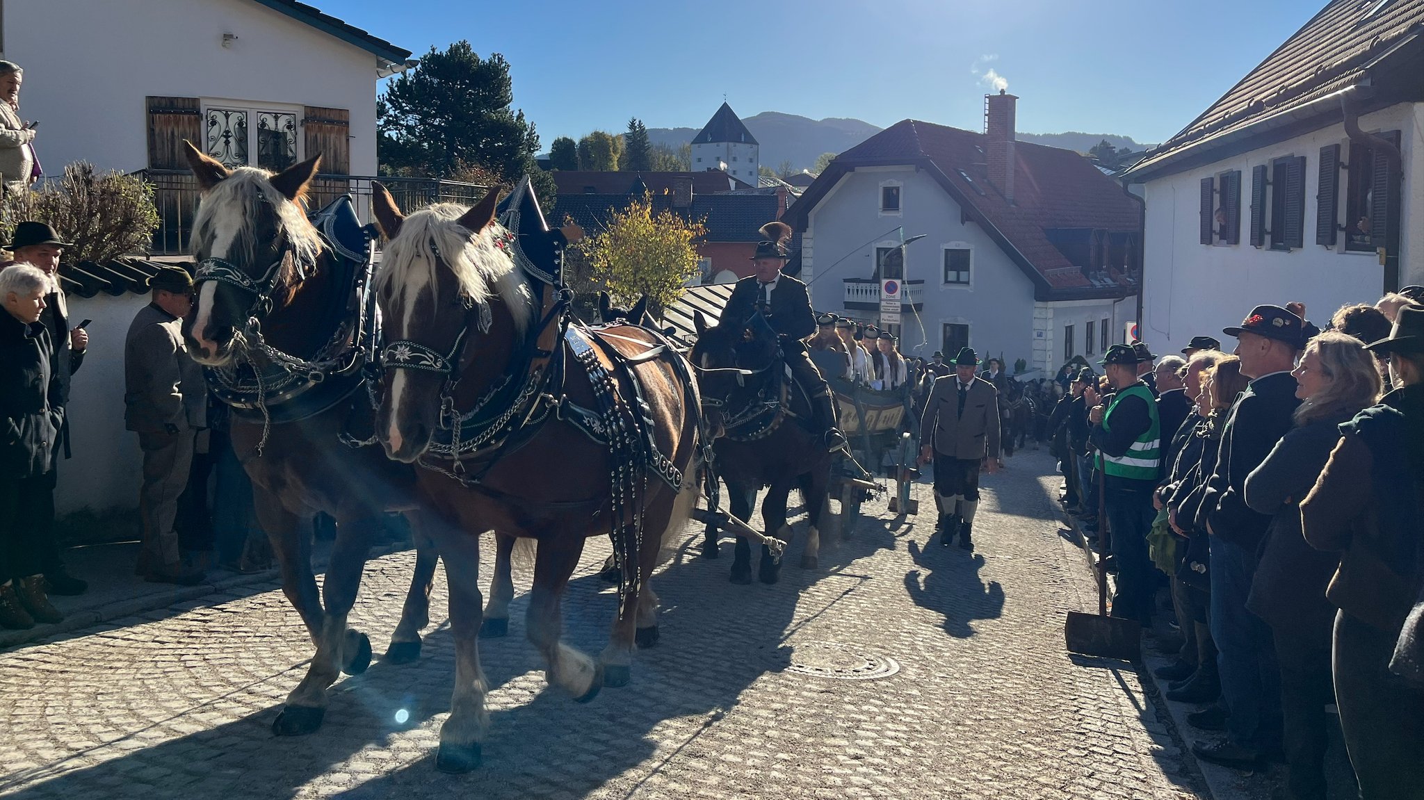 Wagen wird von Pferden gezogen