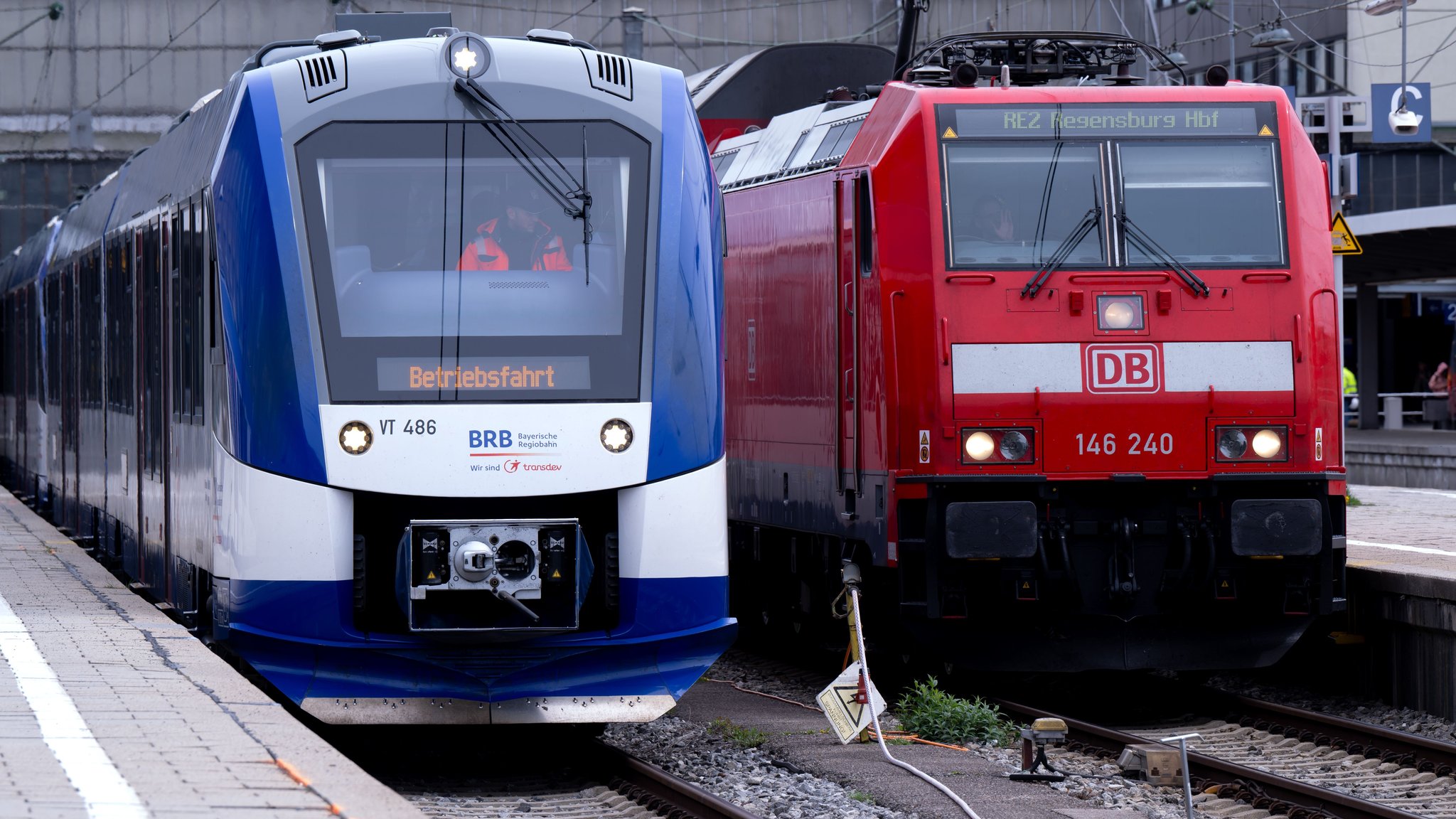 Ein Zug der bayerischen Regiobahn (l, BRB) und ein Zug der Deutschen Bahn (DB) stehen auf einem Gleis am Hauptbahnhof.