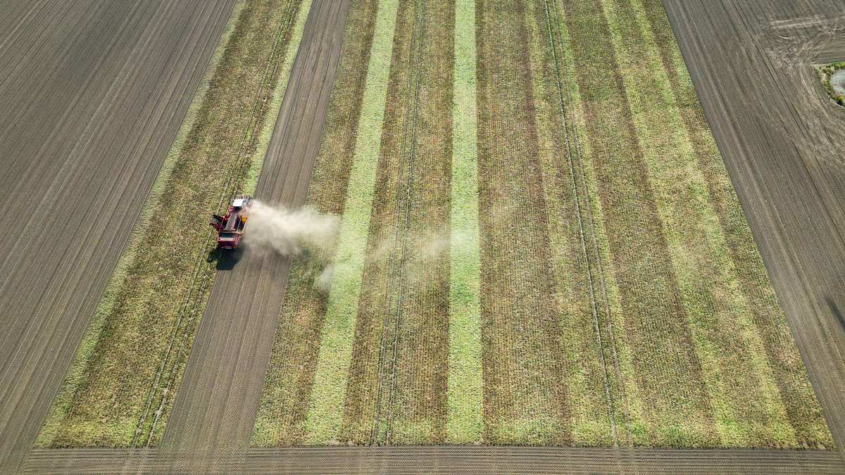 Kampf gegen Klimawandel: Kirche fordert andere Agrarpolitik
