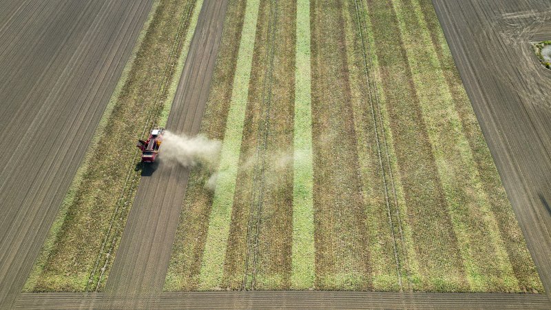 Ein Bauer wirbelt bei der Rübenernte Staub auf. | Bild: picture alliance/dpa | Jan Woitas Ein Bauer wirbelt bei der Rübenernte Staub auf.