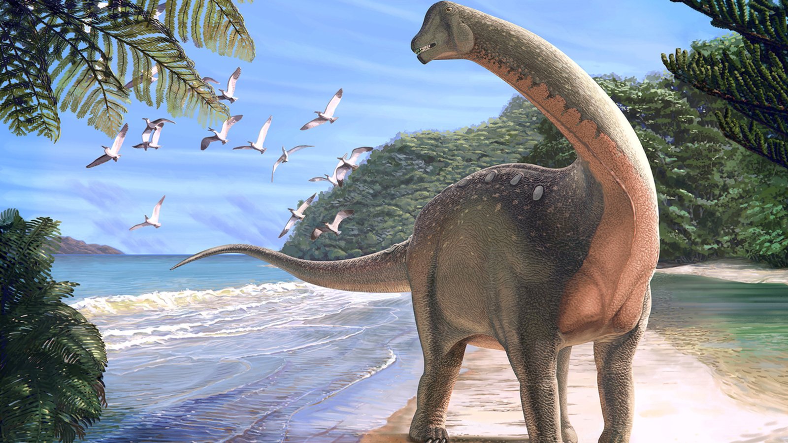 Forscher entdecken bislang unbekannte Dinosaurier-Art in Ägypten