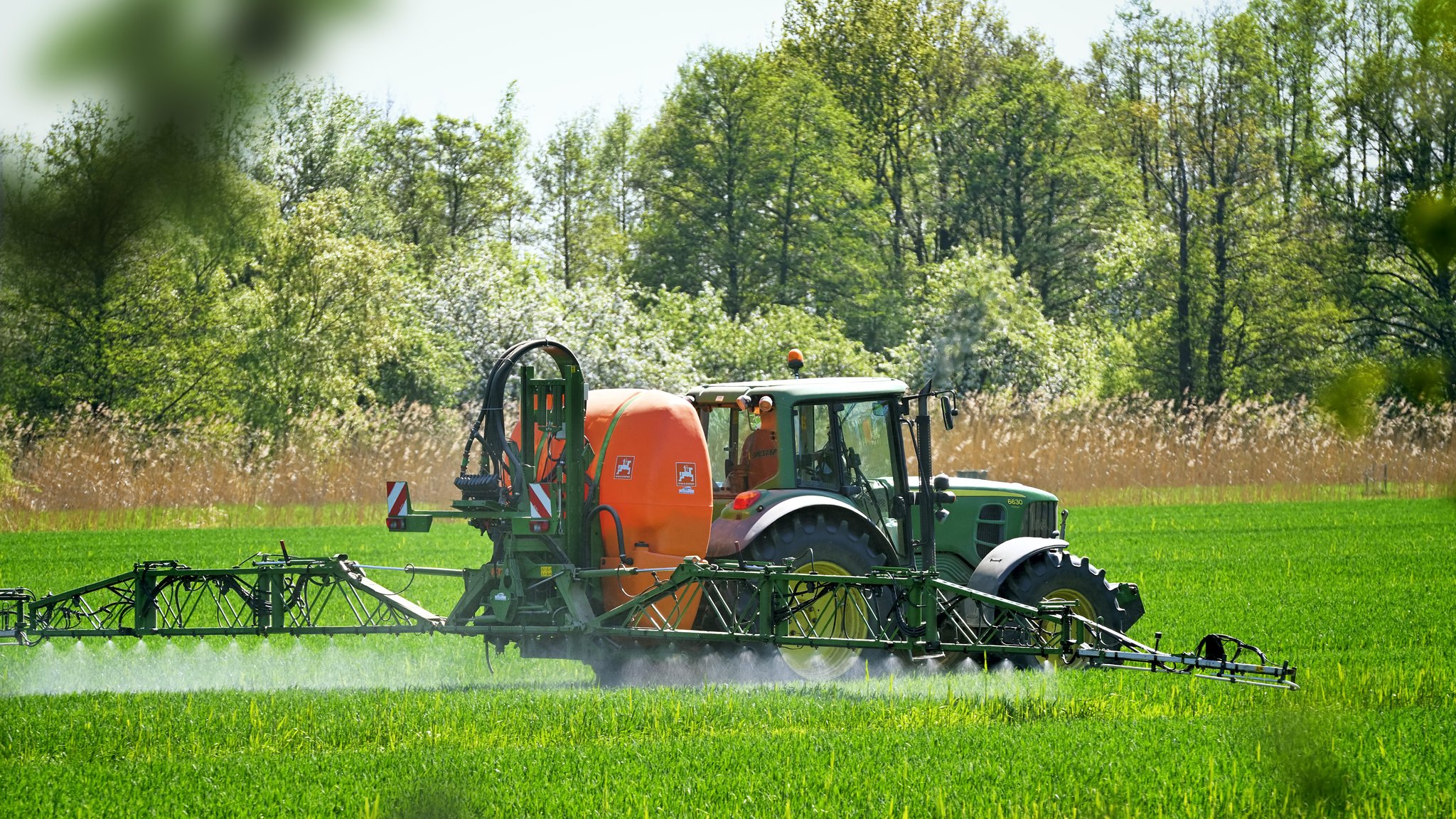 (Symbolbild) Grüner Traktor mit orange-farbener Feldspritze fährt über ein Getreidefeld