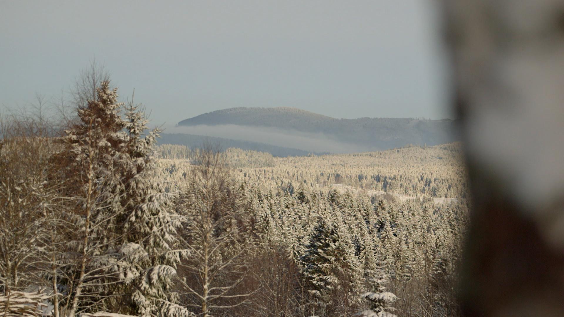 Nationalpark Bayerischer Wald Eine Erweiterung so ganz ohne Zoff?