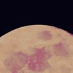 Pierre Jarawan: Frau im Mond | Bild: picture alliance / Montage: BR