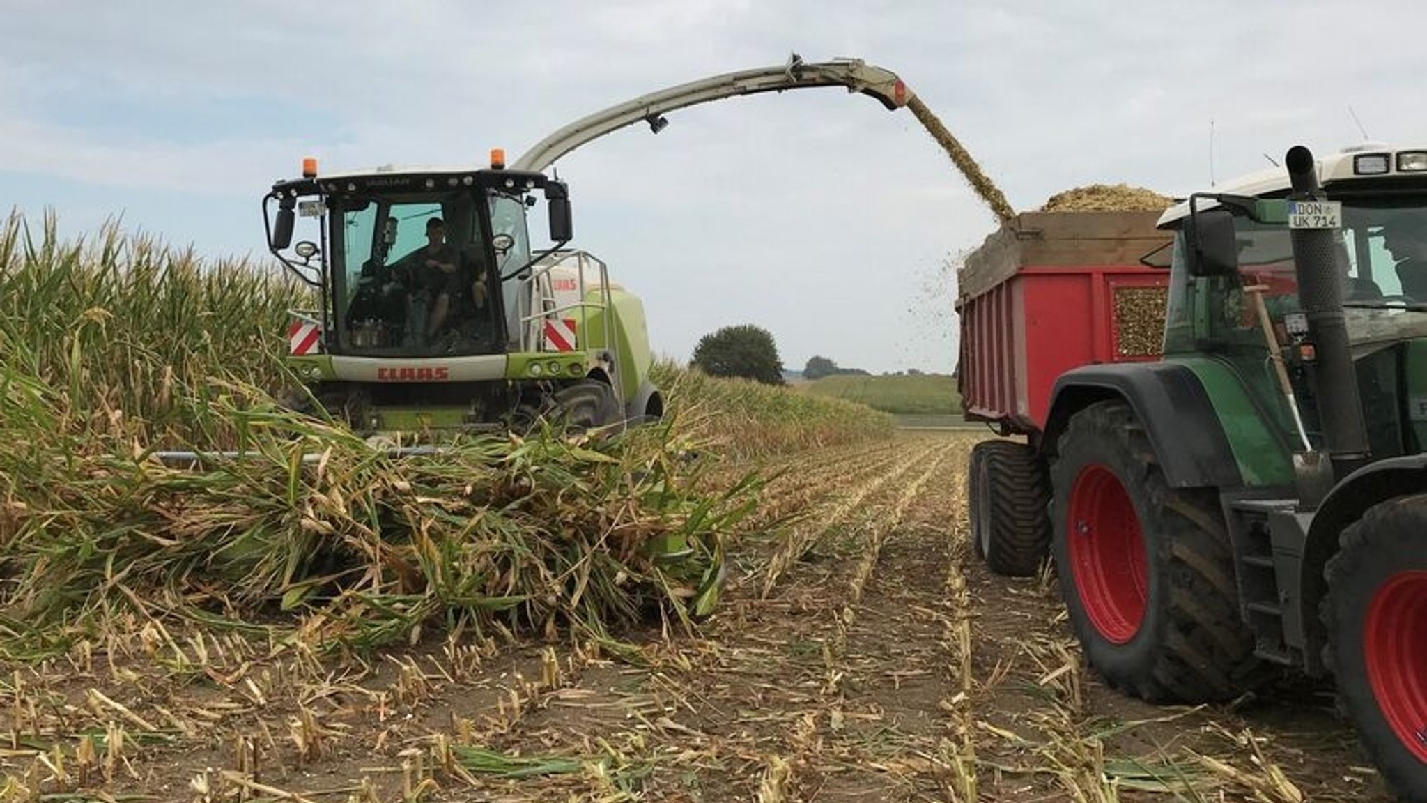 Maishäcksler fährt neben dem Traktor her (Archivbild)