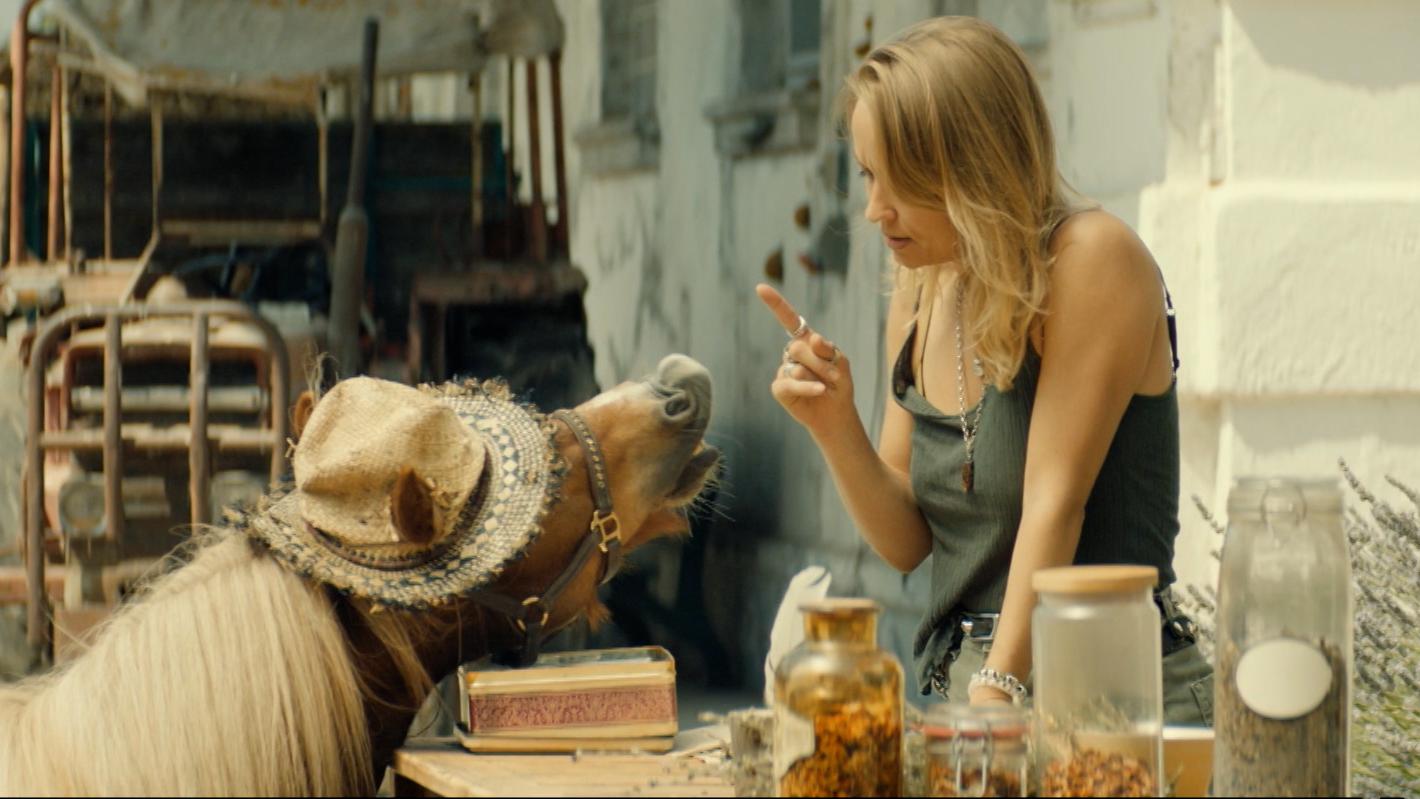 Neues vom Immenhof Das große Versprechen Neues vom Immenhof Das große Versprechen