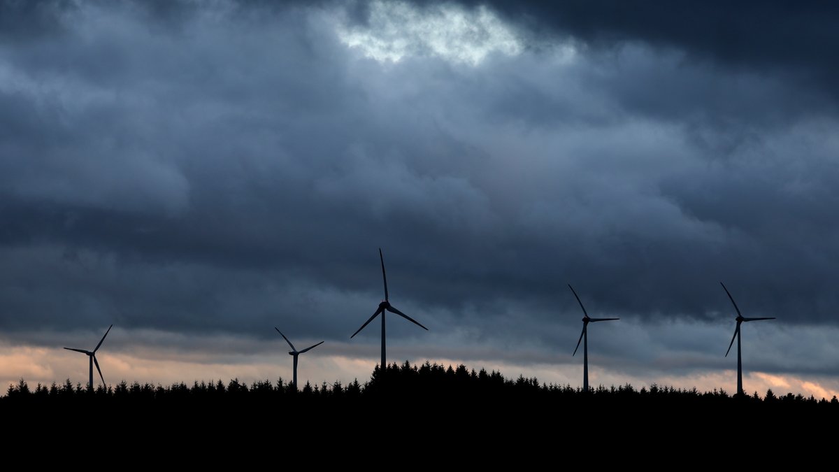 Gutachten: Direktvergabe von Waldflächen für Windkraft möglich