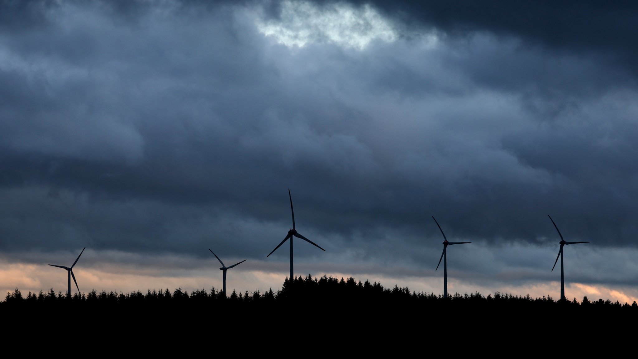 Windräder in einem Wald