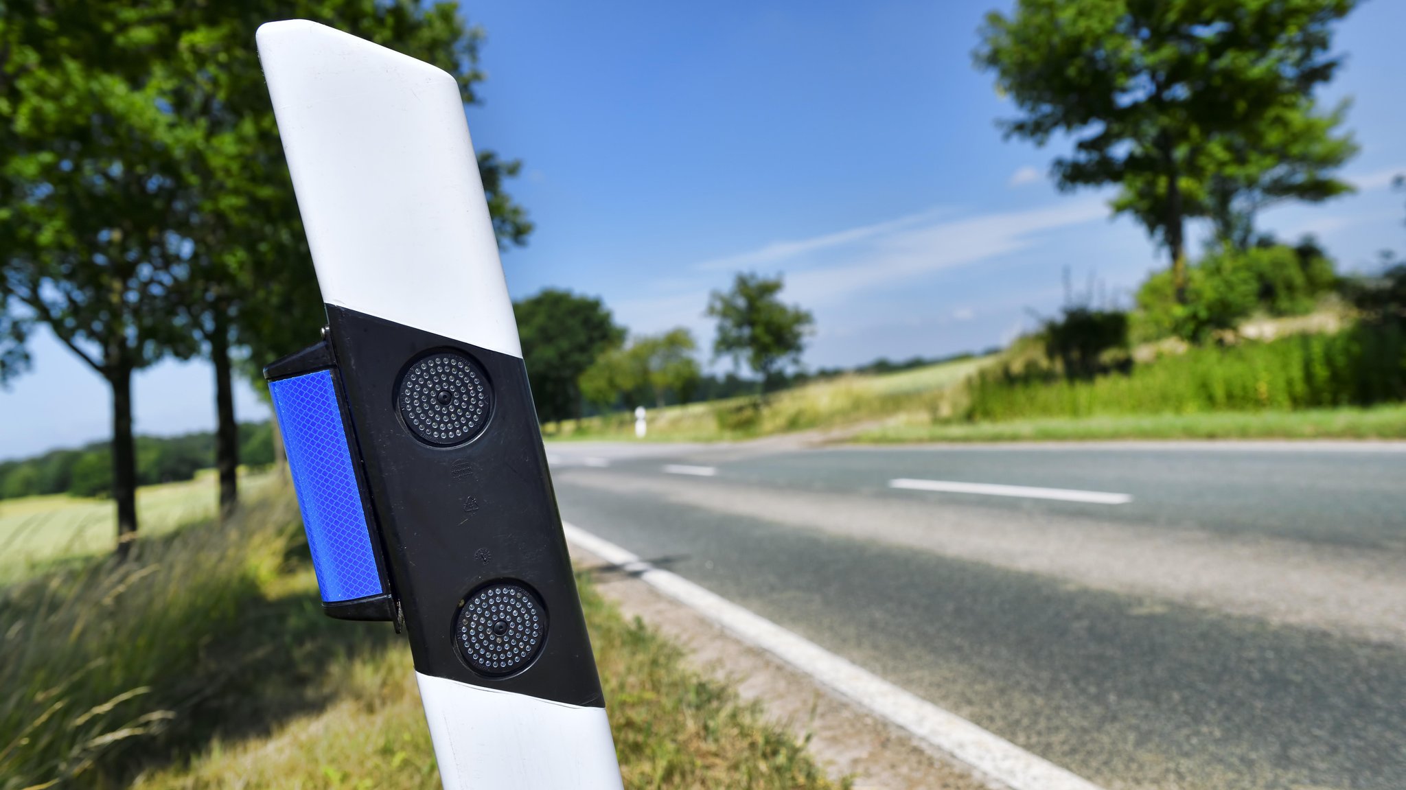 Blaue Reflektoren an Straßenbegrenzungspfosten sollen das Wild davon abhalten, auf die Straße zu laufen.