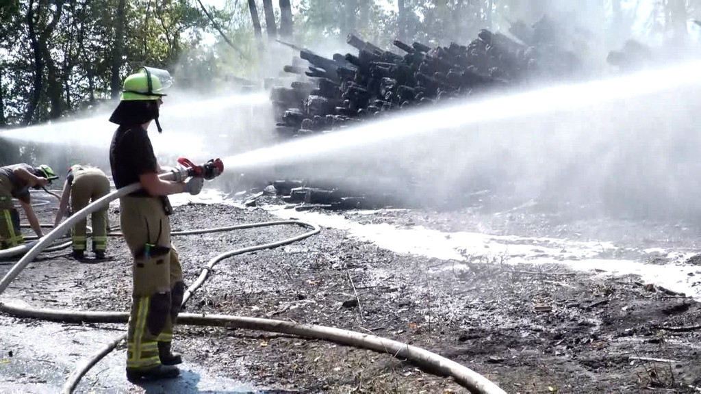Feuerwehrleute kämpfen gegen einen Waldbrand.