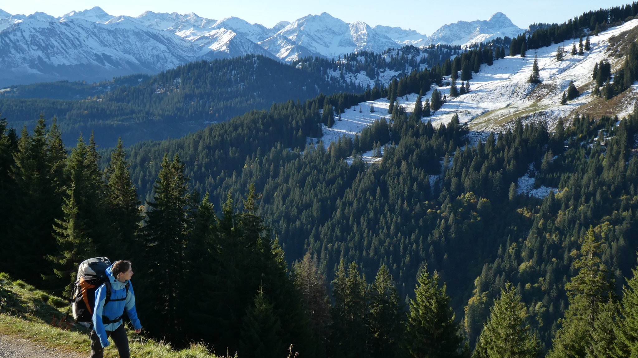 Das Modellprojekt Alpinium sollte mit Ausstellungen, Führungen, Mitmachaktionen und Forschungen zum Natur- und Artenschutz beitragen.