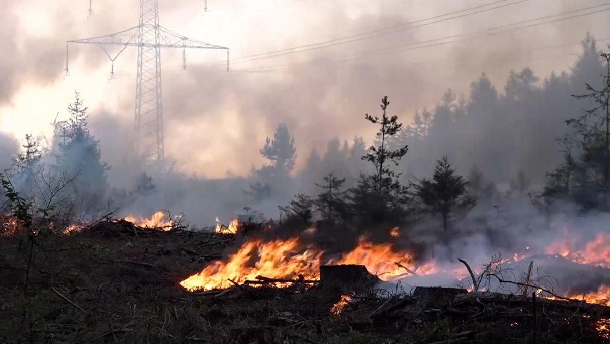 Waldbrand im Landkreis Hof: Feuer unter Kontrolle 