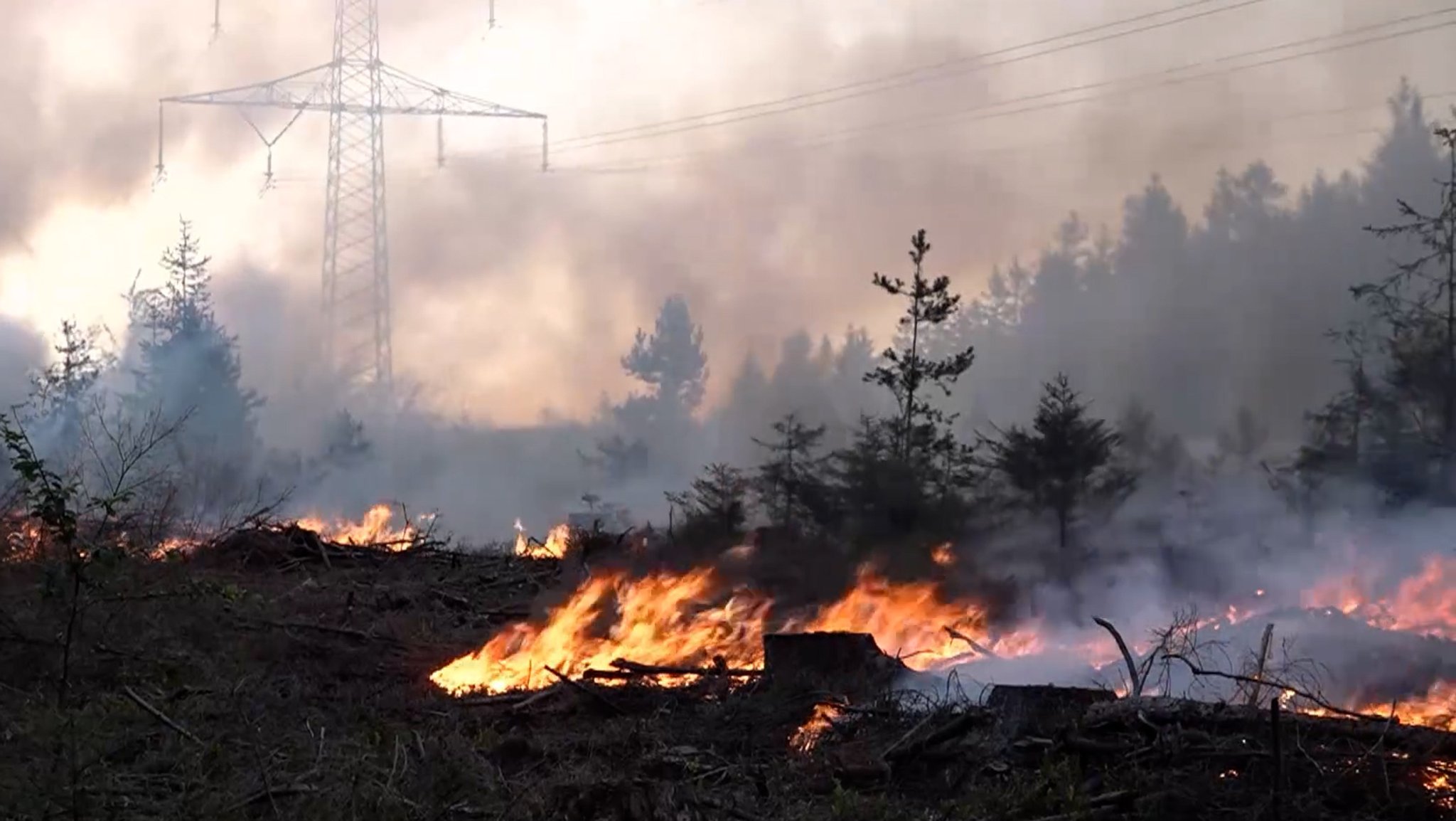 Feuer in einem Wald, dahinter ein Strommast, von Rauch verhüllt.