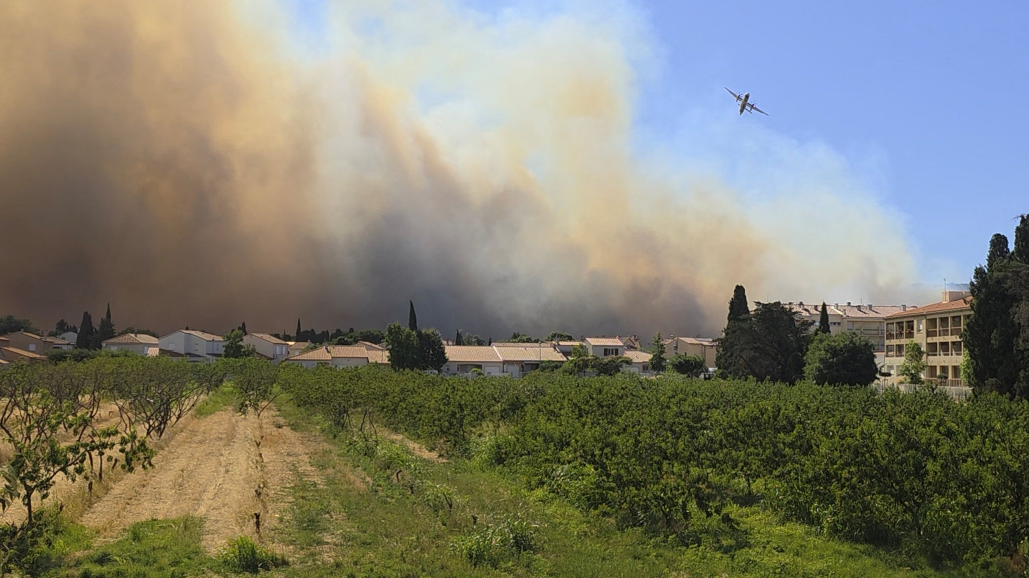 Feuer im Süden: Waldbrände in beliebten Urlaubsländern