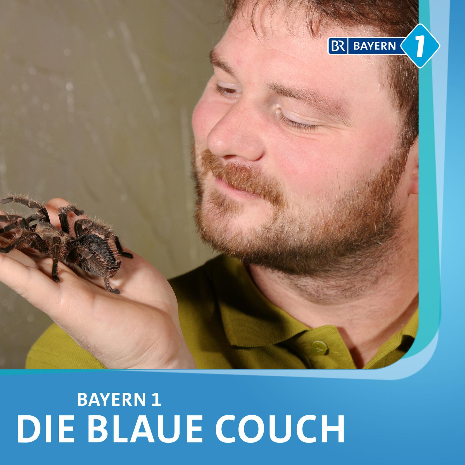 Christian Dienemann,  Zoopädagoge, "Nemo und sein Vater müssten eigentlich Weibchen sein".