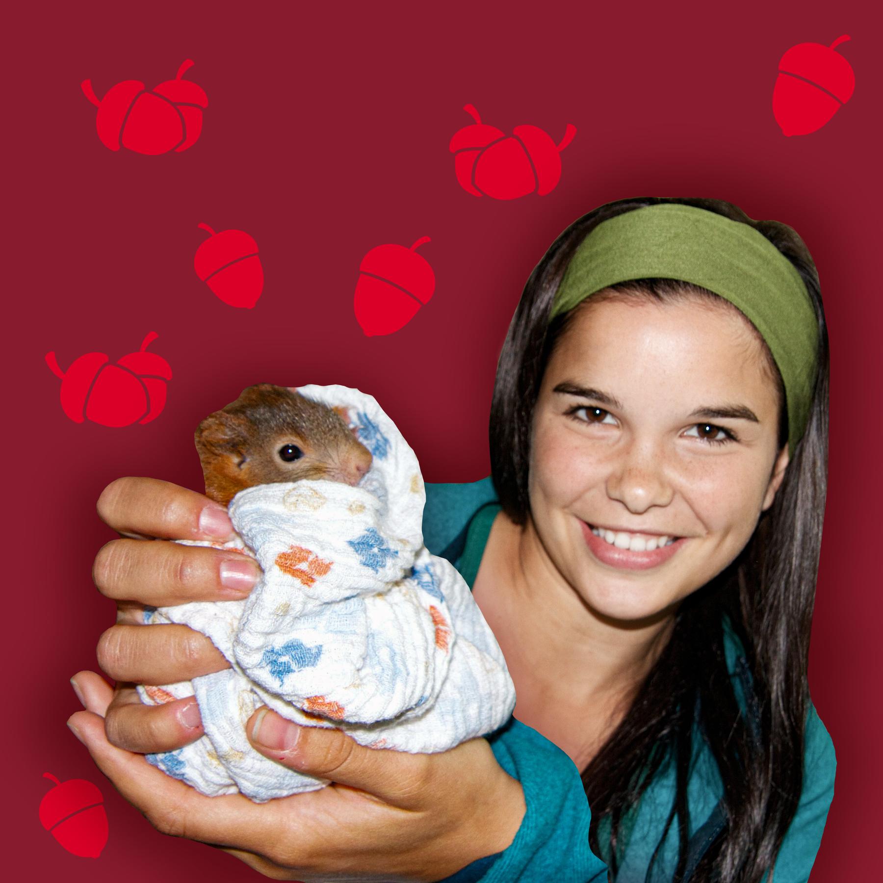 Eichhörnchen - Flinke Kletterkünstler mit Kuschelschwanz