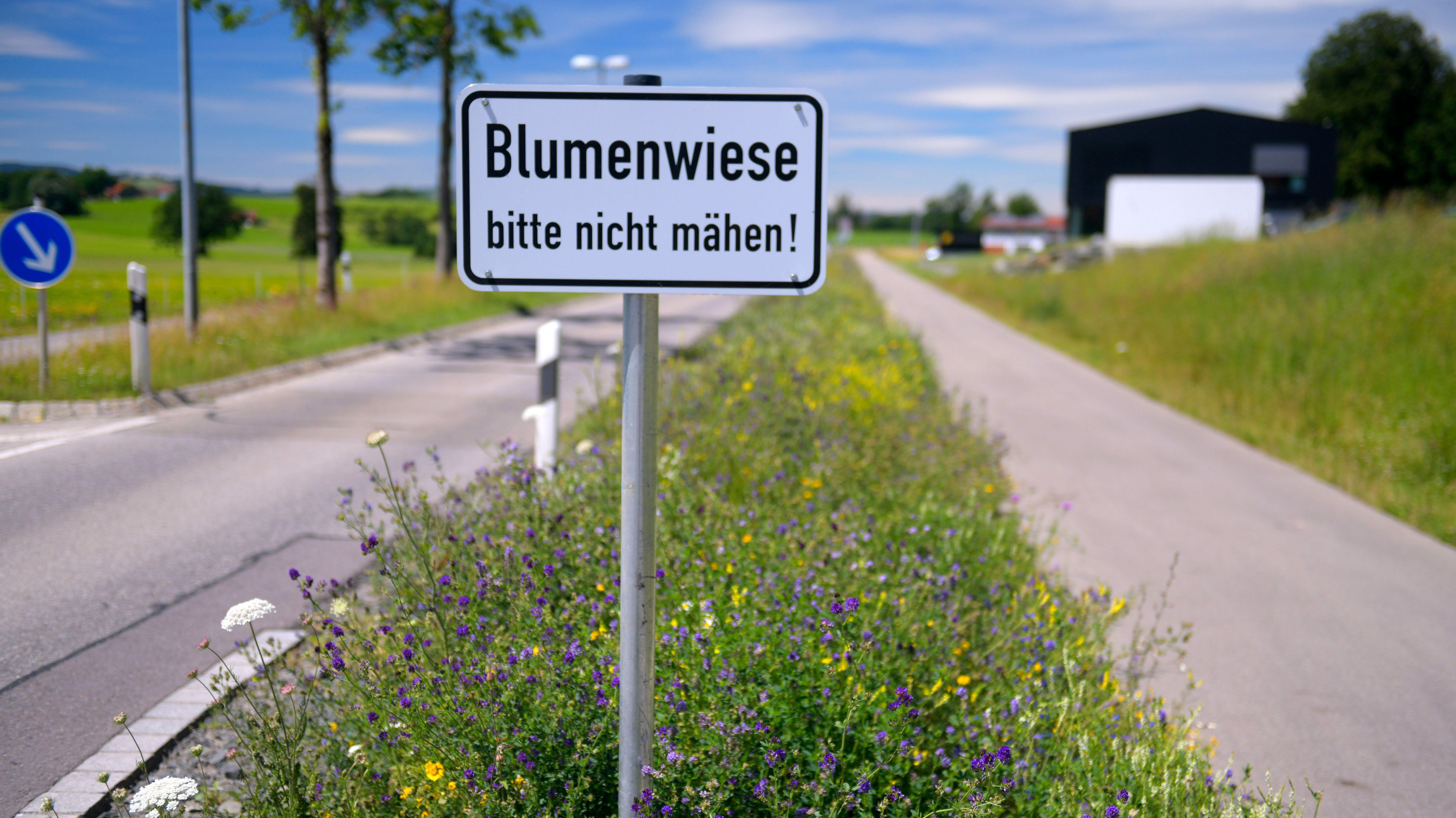 Gemischte Bilanz: Fünf Jahre "Rettet die Bienen"