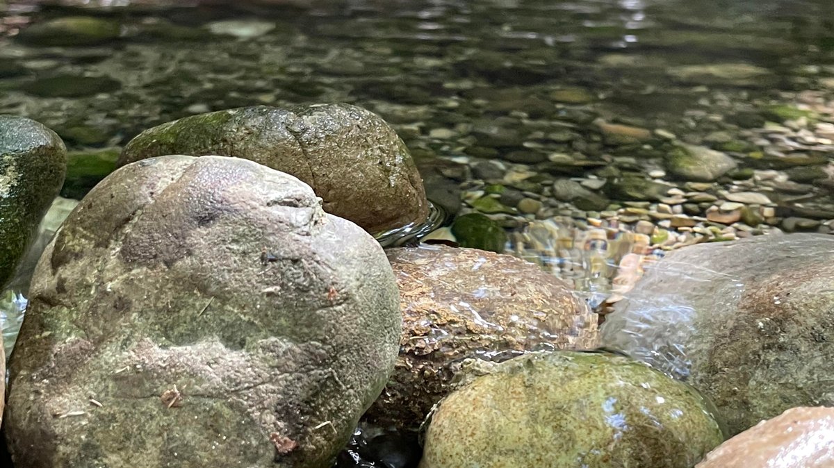 Um die 20 Quellen versorgen die Katzbrui-Mühle mit frischem Wasser.