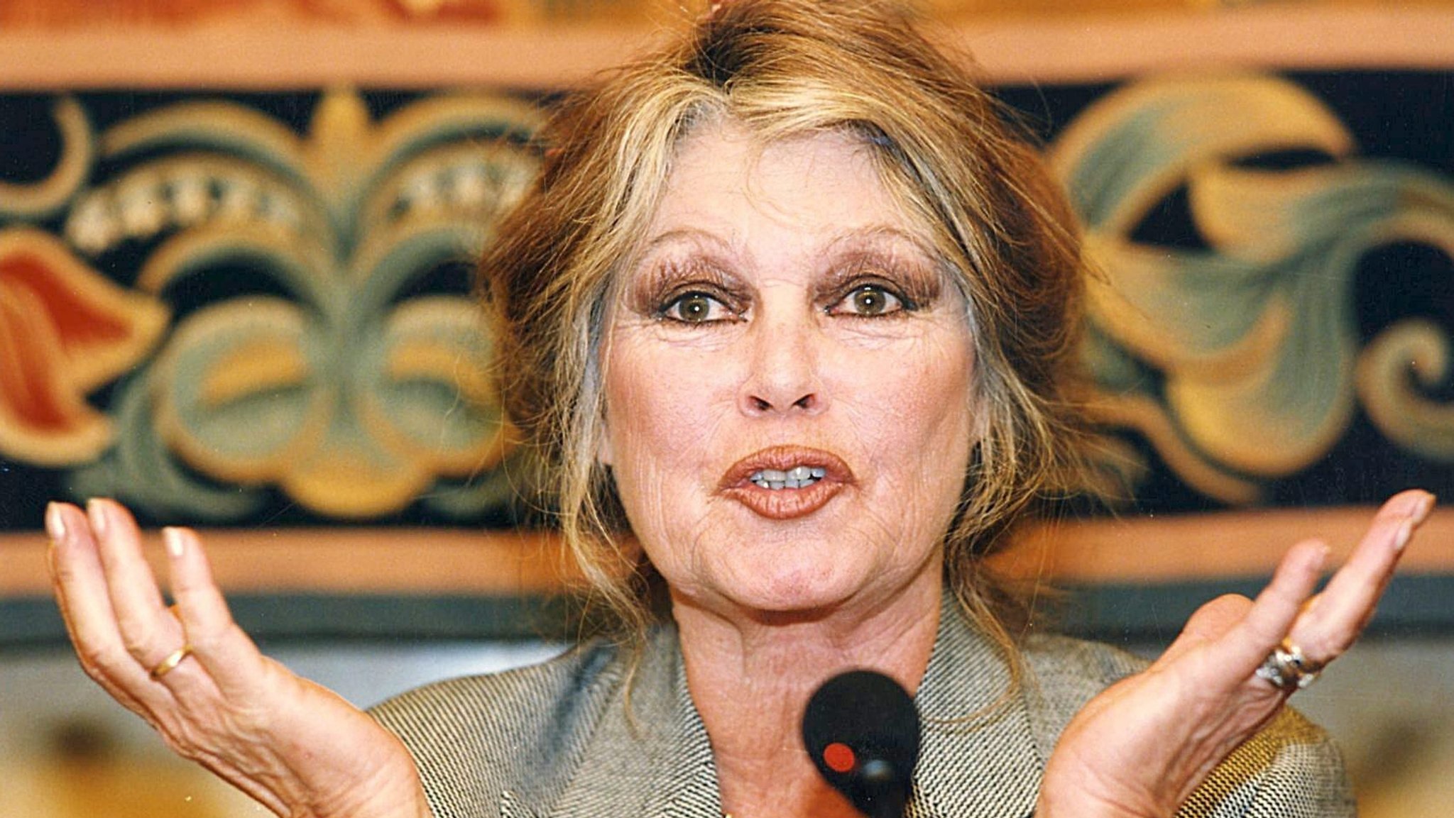 Bardot am Mikrofon 
