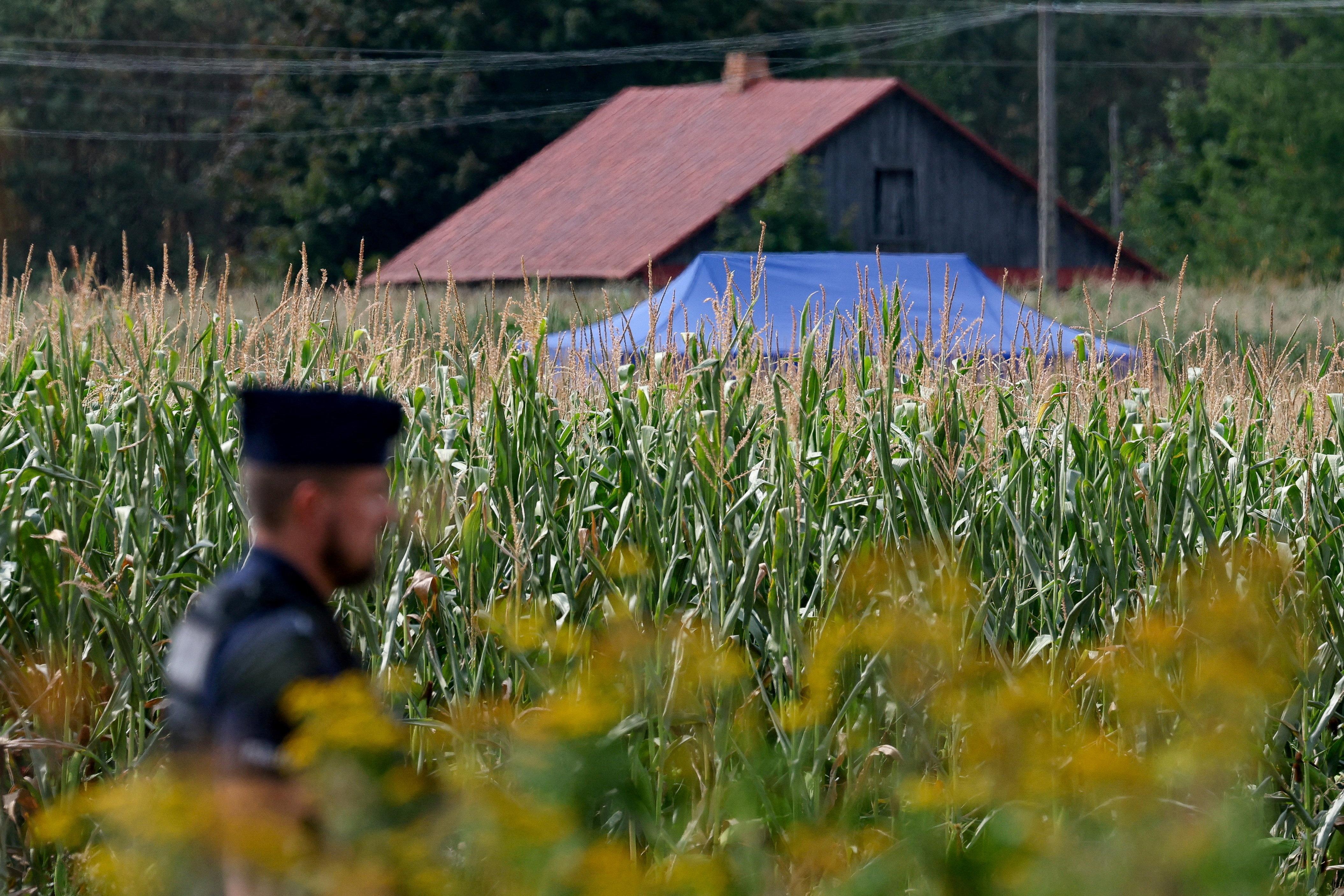Bei diesem Maisfeld in Polen stürzte die Drohne ab