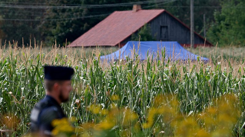 Bei diesem Maisfeld in Polen stürzte die Drohne ab | Bild: REUTERS/Kacper Pempel Bei diesem Maisfeld in Polen stürzte die Drohne ab