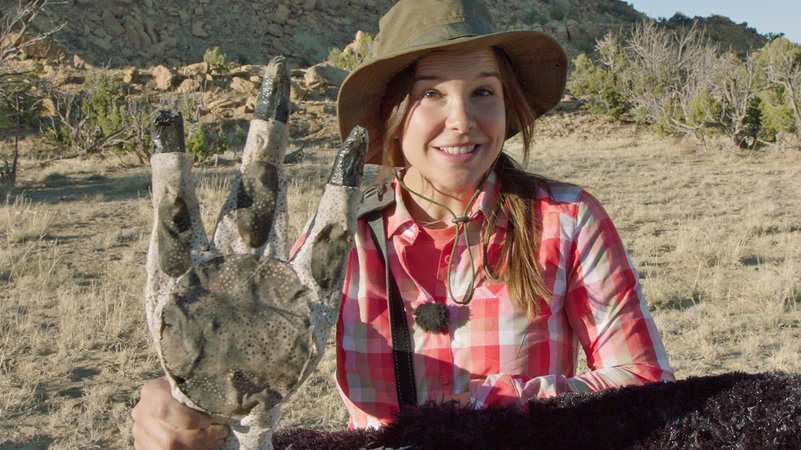 Auf den Spuren der Dinosaurier | Tierreporterin Anna unterwegs in den USA | Bild: BR | Text und Bild Medienproduktion GmbH & Co.KG Auf den Spuren der Dinosaurier | Tierreporterin Anna unterwegs in den USA