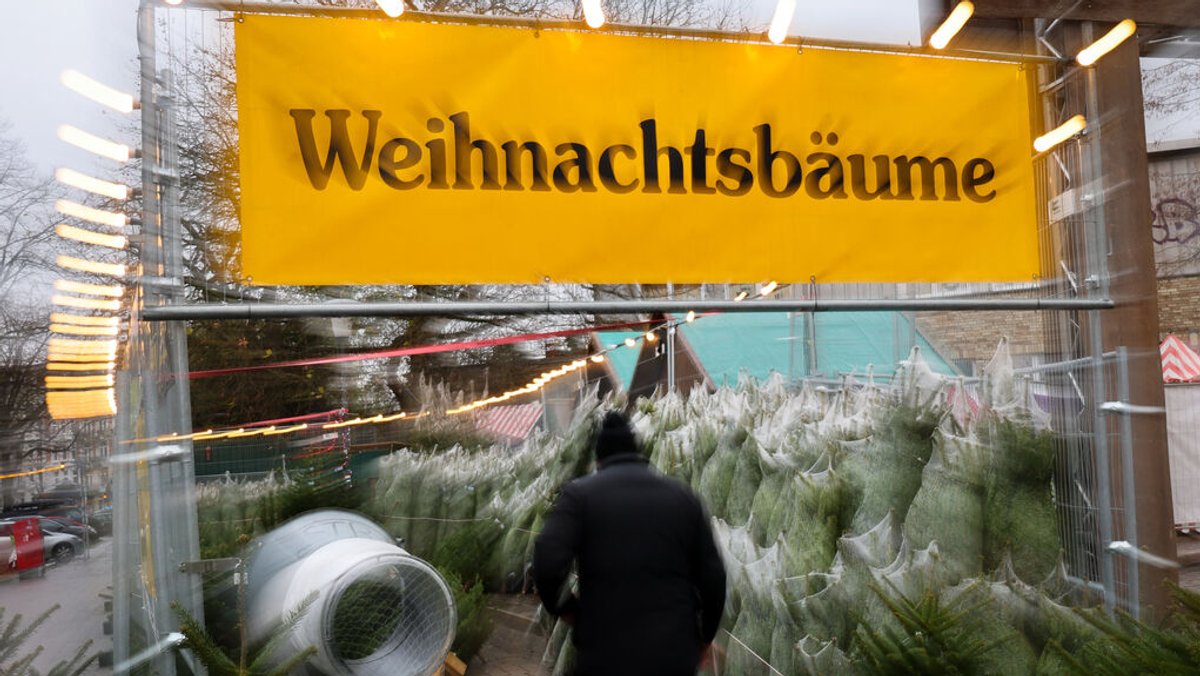 Dreiste Diebstähle: Hunderte Christbäume gestohlen