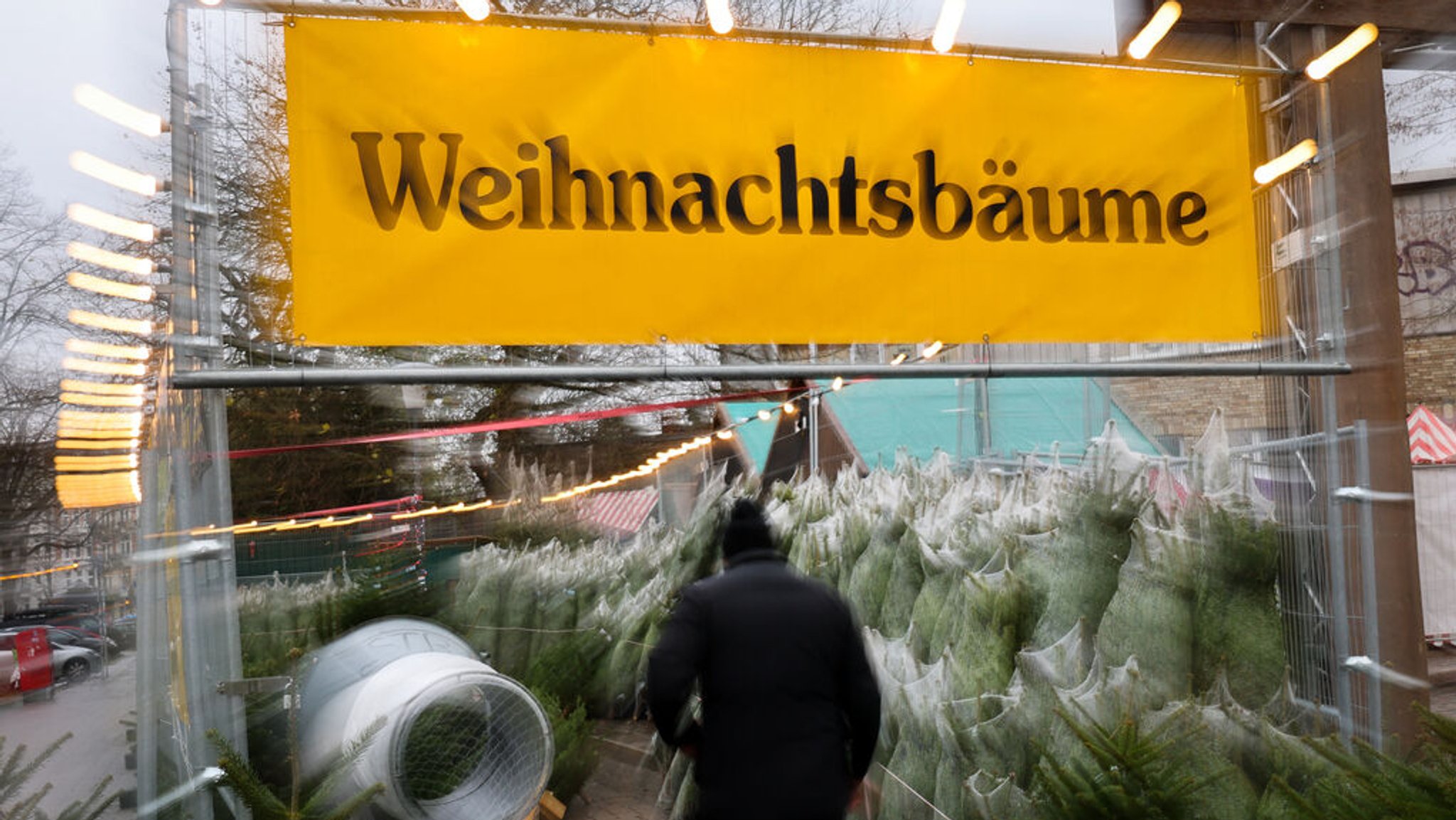 Ein Verkaufsstand mit Weihnachtsbäumen