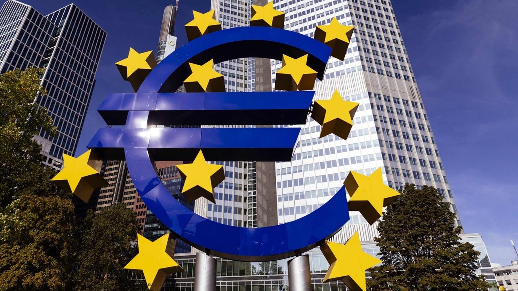 Euro – die gemeinsame Währung für Europa 