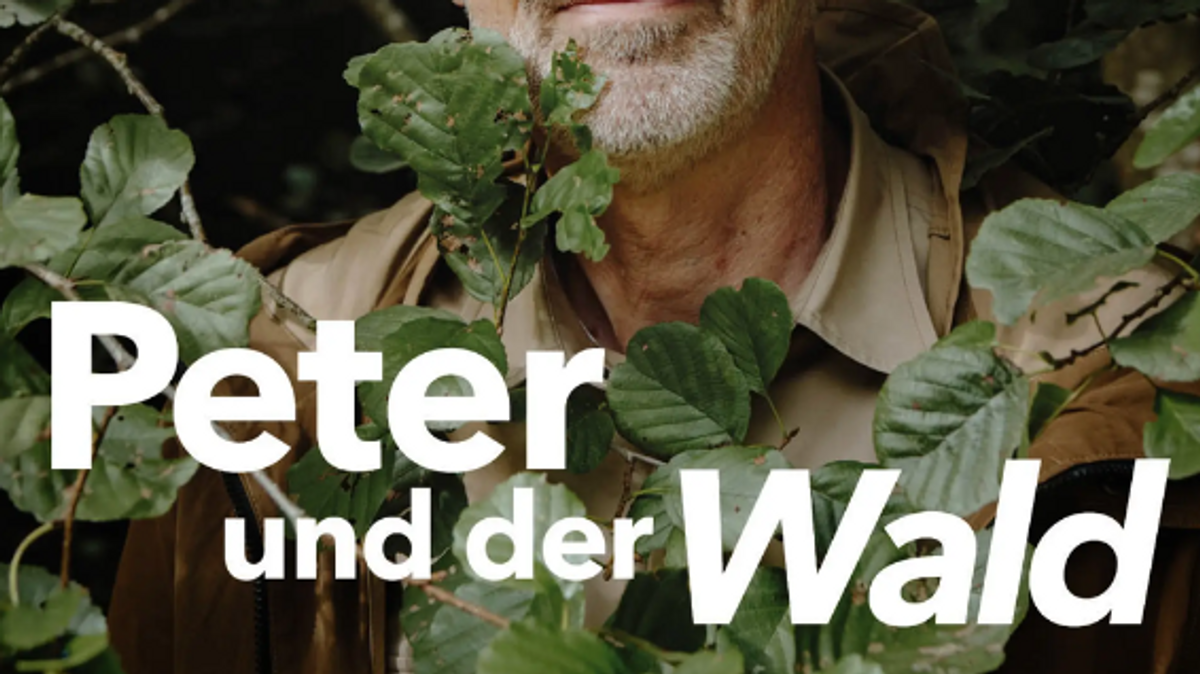 Der Podcast "Peter und der Wald"