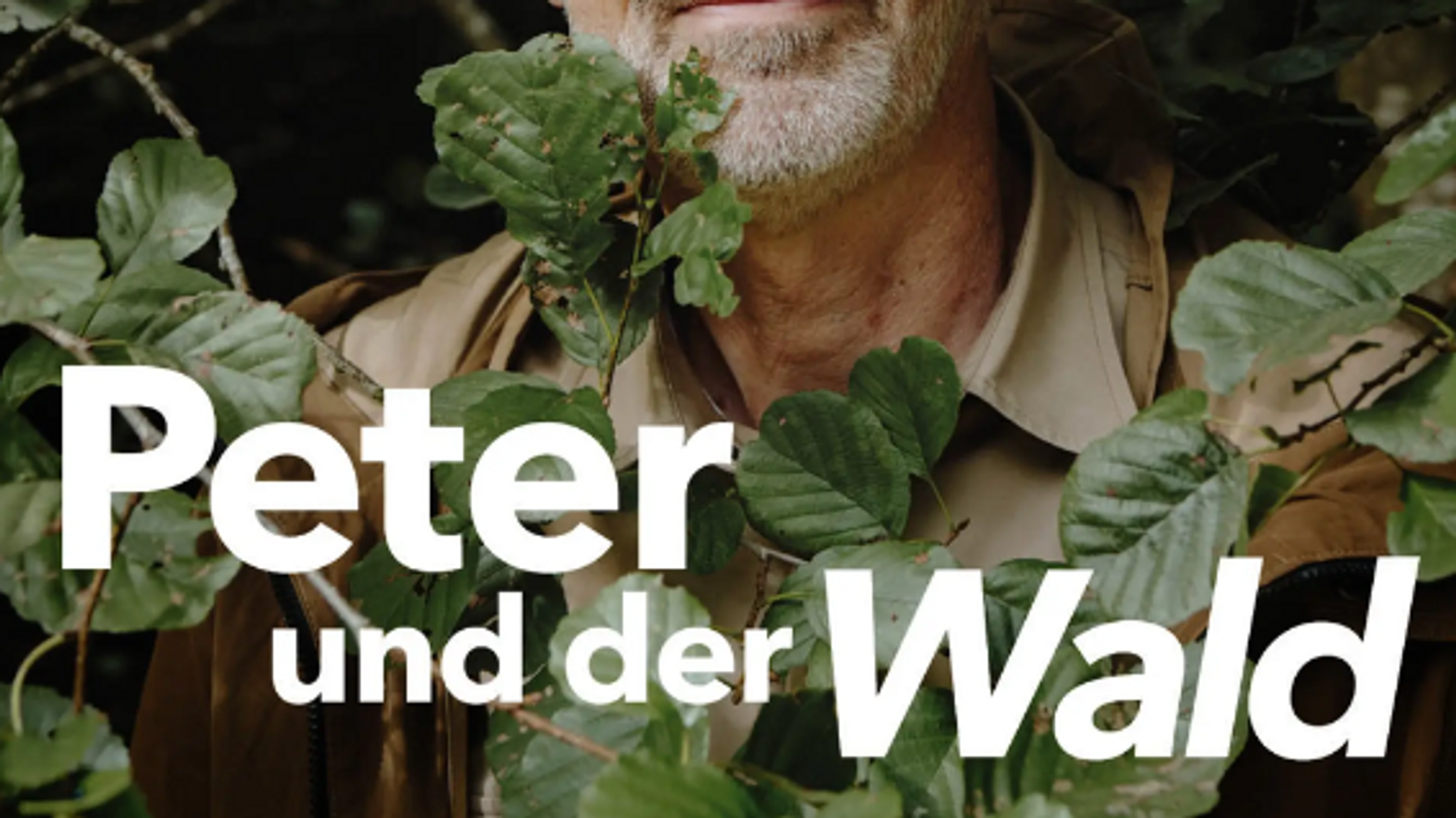 Der Podcast "Peter und der Wald"